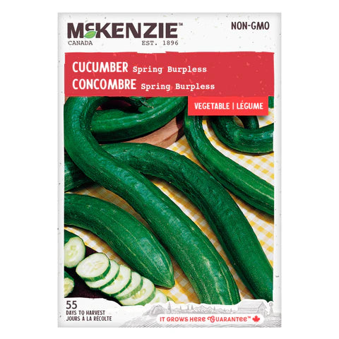 VEGETABLE SEEDS: CUCUMBER - SPRING BURPLESS