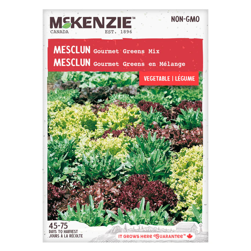 VEGETABLE SEEDS: MESCLUN - GOURMET GREEN MIX