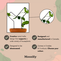 TREILLIS EN METAL - CHECK MARK