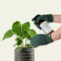GANTS DE DÉPOUSSIÉRAGE EN MICROFIBRE POUR PLANTES