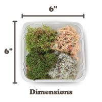 REVITA-MOSS MIXED PACK