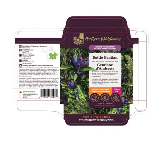 FLOWER SEEDS: ANDREW'S BOTTLE GENTIAN