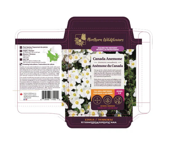 FLOWER SEEDS: CANADA ANEMONE