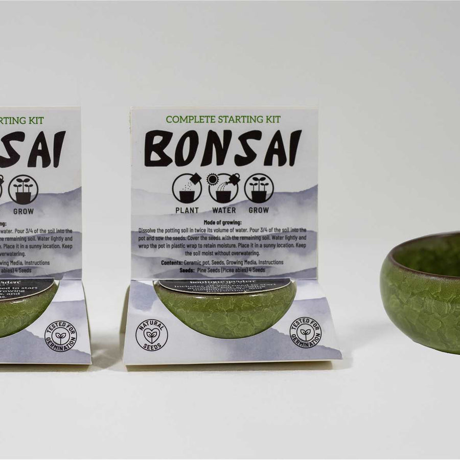 BONSAI STARTER KIT