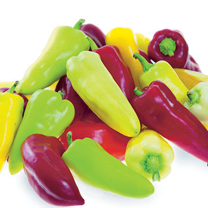 PIMENT DOUX - PRETTY N SWEET