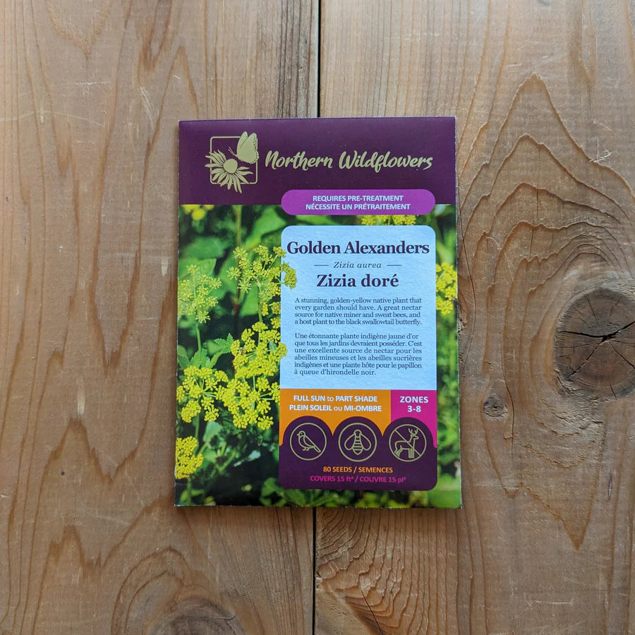 FLOWER SEEDS: GOLDEN ALEXANDERS