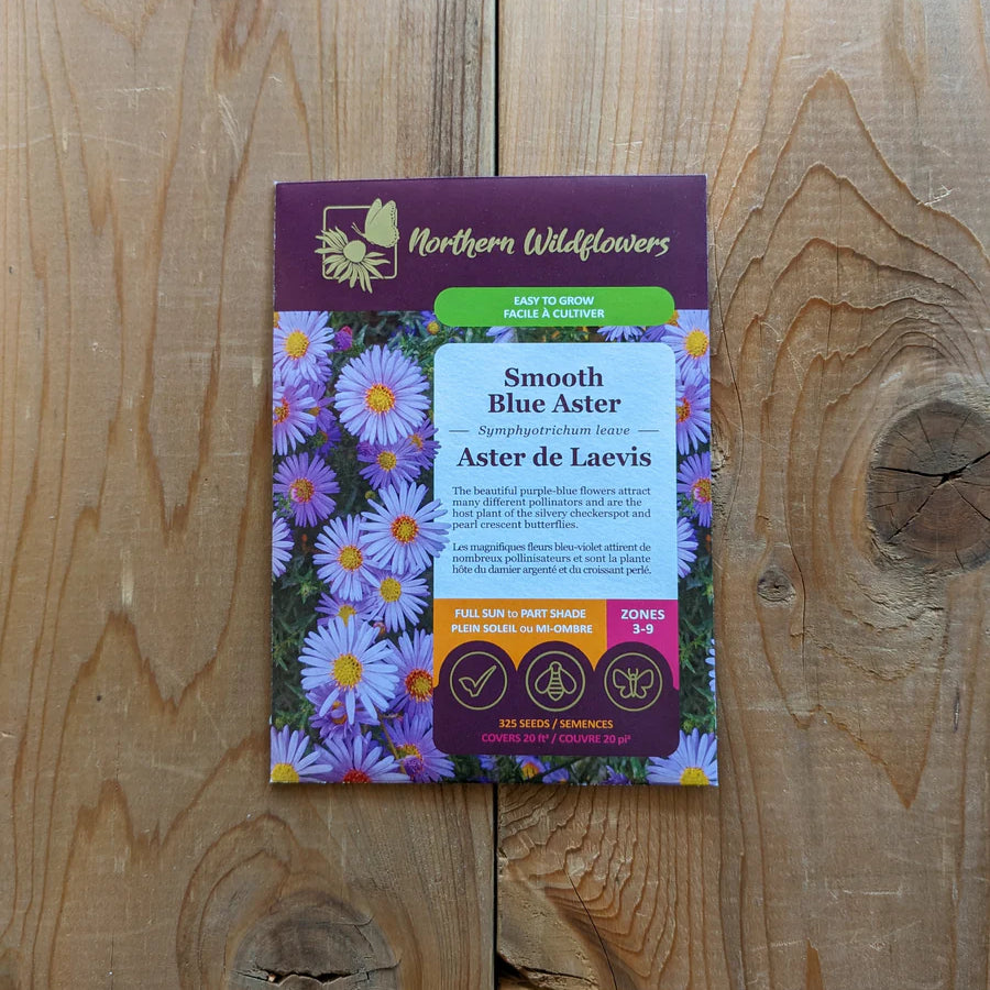FLOWER SEEDS: ASTER LAEVIS