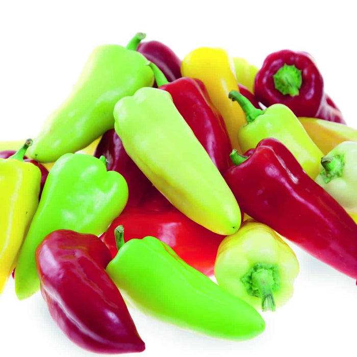 PIMENT DOUX - PRETTY N SWEET