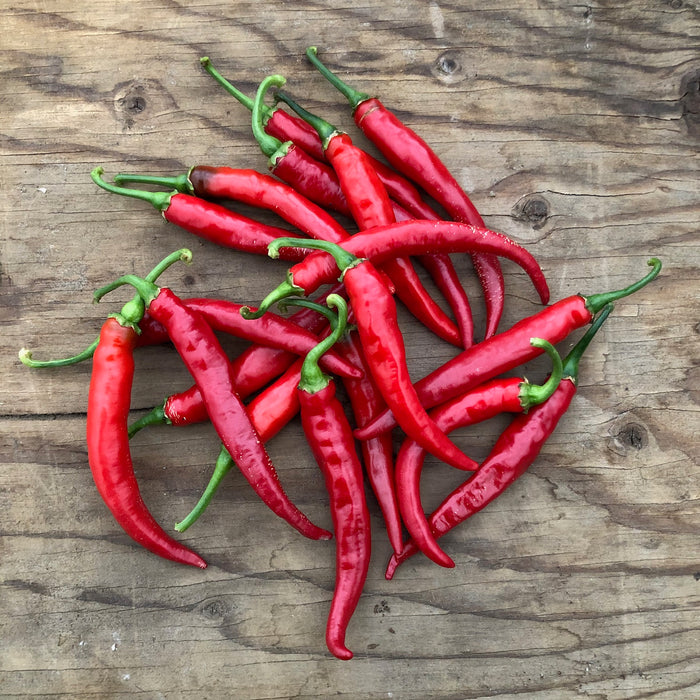 SEMENCES BIOLOGIQUES: PIMENT CAYENNE RING OF FIRE