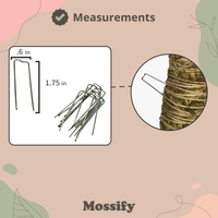 ÉPINGLES POUR COMPOSITIONS FLORALES - ÉPINGLES DE FIXATION POUR VERDURE - ÉPINGLES POUR TUTEURS EN MOUSSE