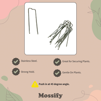 ÉPINGLES POUR COMPOSITIONS FLORALES - ÉPINGLES DE FIXATION POUR VERDURE - ÉPINGLES POUR TUTEURS EN MOUSSE