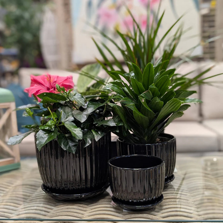 PLANT POT / RUBY COLLECTION - NICE