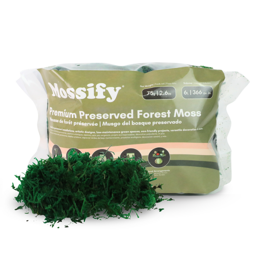 MOUSSE DE FORÊT STABILISÉE DE QUALITÉ SUPÉRIEURE