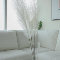 ARRANGEMENT PAMPAS ARTIFICIEL IVOIRE DÉCOR RUSTIQUE ÉLÉGANT INDESTRUCTIBLE ET CHALEUREUX