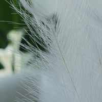 ARRANGEMENT PAMPAS ARTIFICIEL IVOIRE DÉCOR RUSTIQUE ÉLÉGANT INDESTRUCTIBLE ET CHALEUREUX