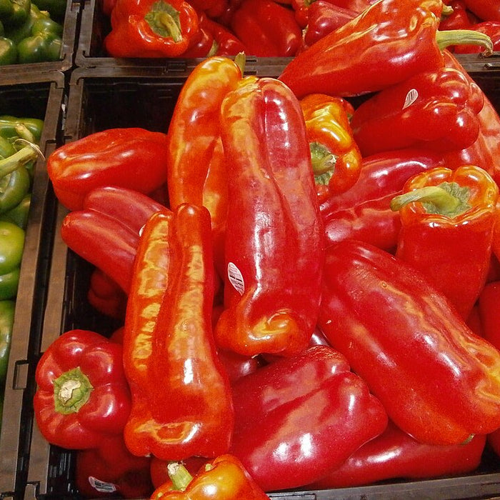 POIVRON ROUGE DOUX