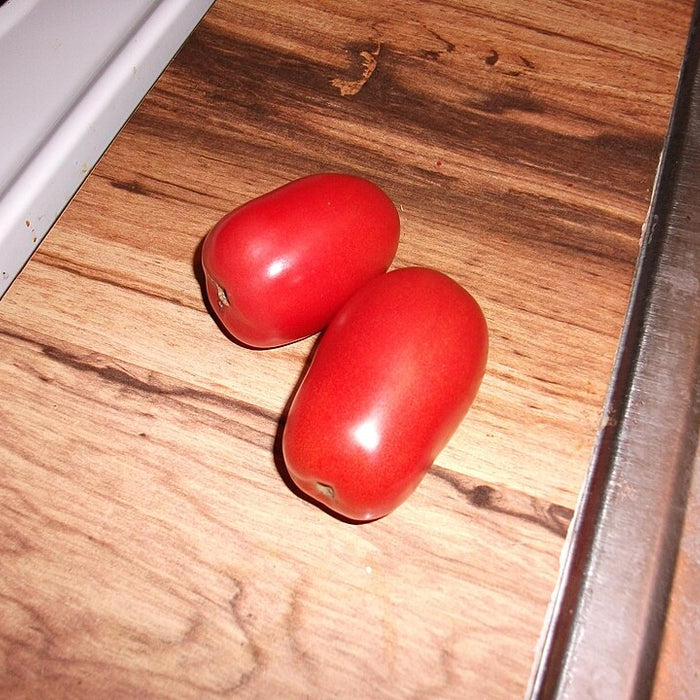TOMATE ITALIENNE