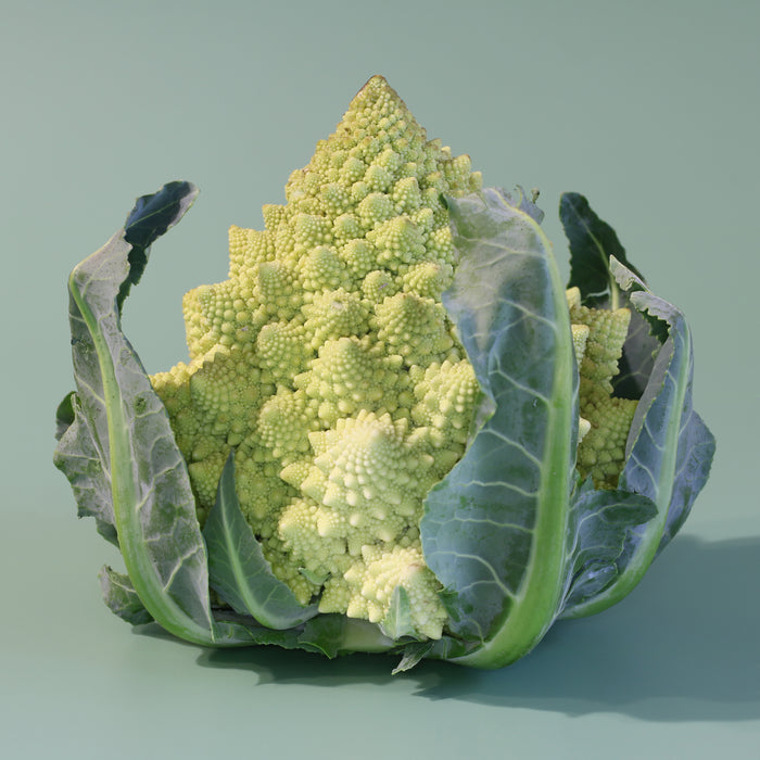 CHOU - ROMANESCO