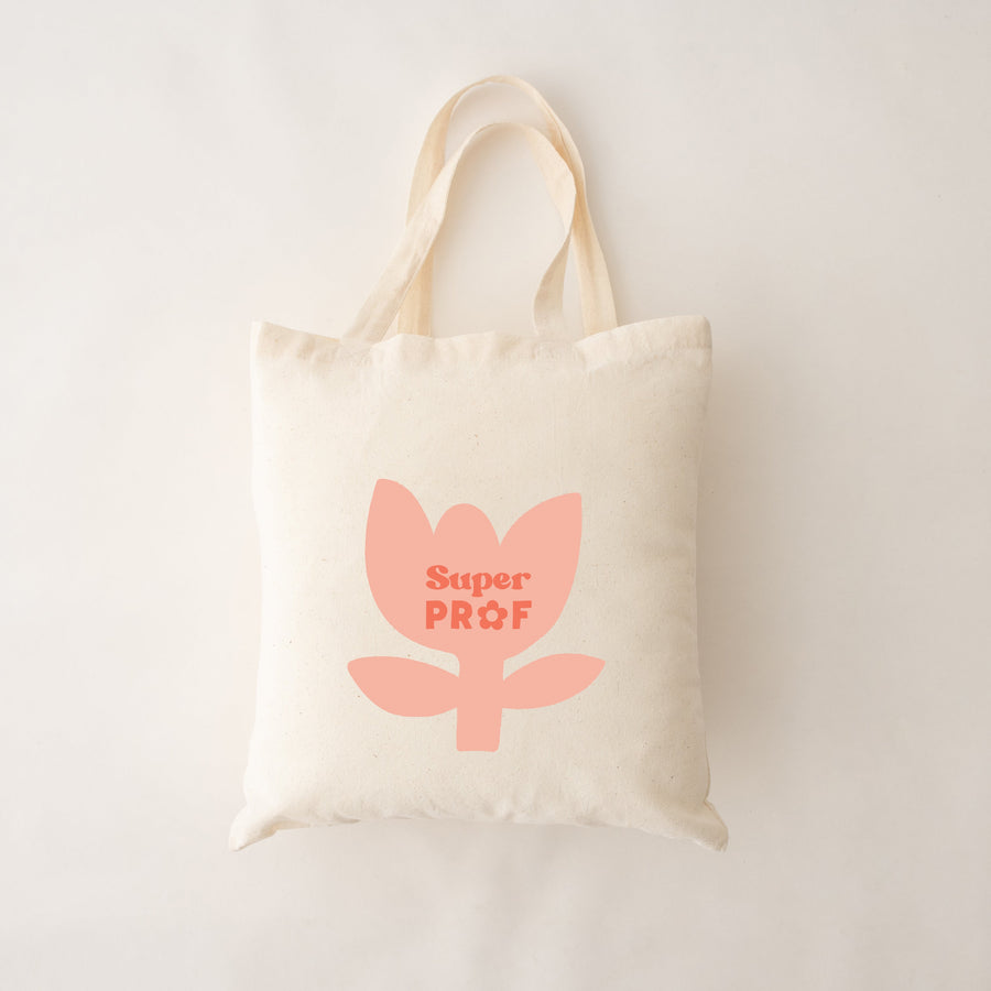 SAC REUTILISABLE- SUPER PROF