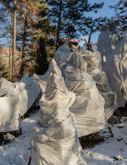 Double Banner Images