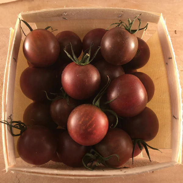 SEMENCES DE LEGUMES BIO: TOMATE CERISE - NOIRE