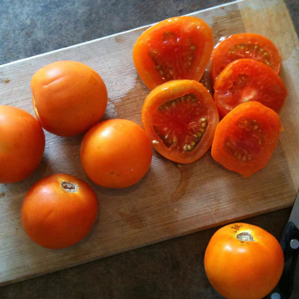 SEMENCES DE LEGUME BIO: TOMATE ORANGE - JAUNE FLAMMÉ