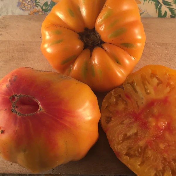 SEMENCES DE LEGUMES BIO: TOMATE ORANGE - STRIPED GERMAN