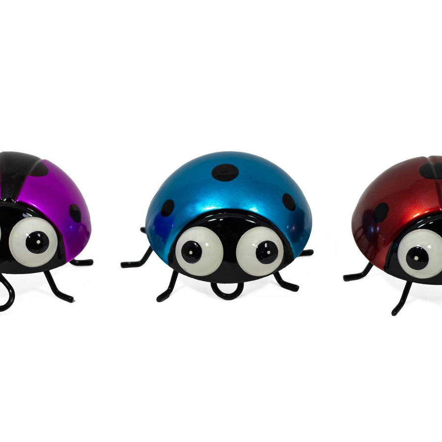 DECORATIVE LADYBUG