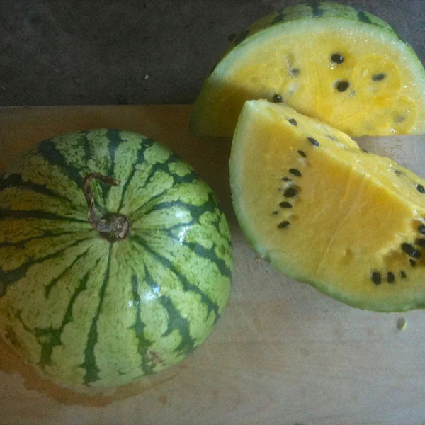 SEMENCES DE LEGUMES BIO: MELON D'EAU - EARLY MOONBEAM