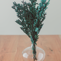 BOUQUET D'EUCALYPTUS PRÉSERVÉ