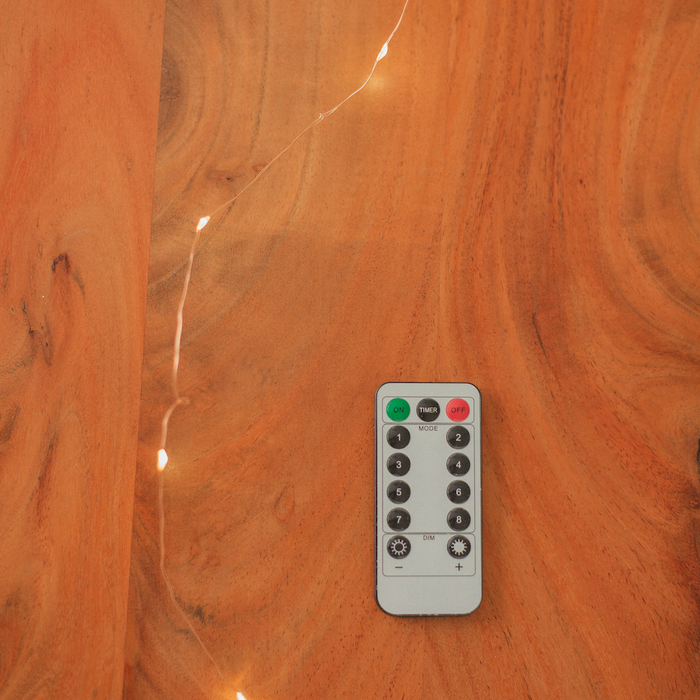 GUIRLANDE LUMINEUSE FÉÉRIQUE AVEC TÉLÉCOMMANDE