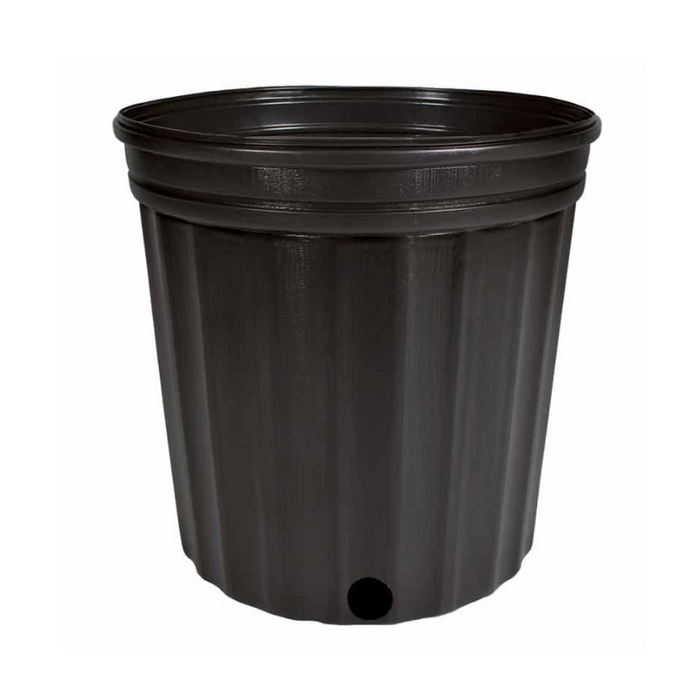 POT PÉPINIÈRE - 11 7/8" X 11"