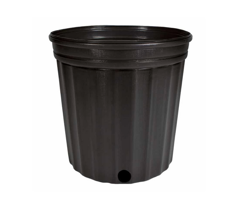 NURSERY POT - 11 7/8" X 11"