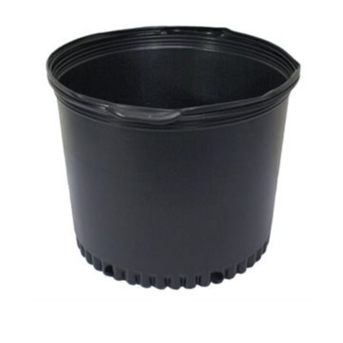 POT PÉPINIÈRE - 13 3/4" X 12"