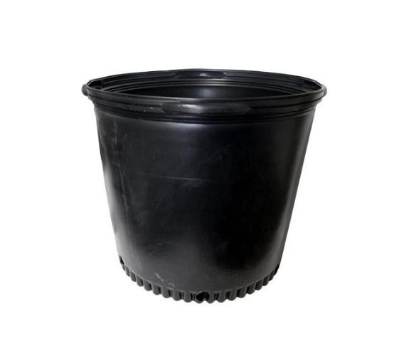 NURSERY POT - 17 3/4" x 16 3/4"