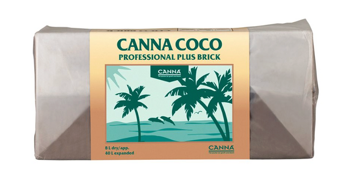 CANNA COCO BRIQUE