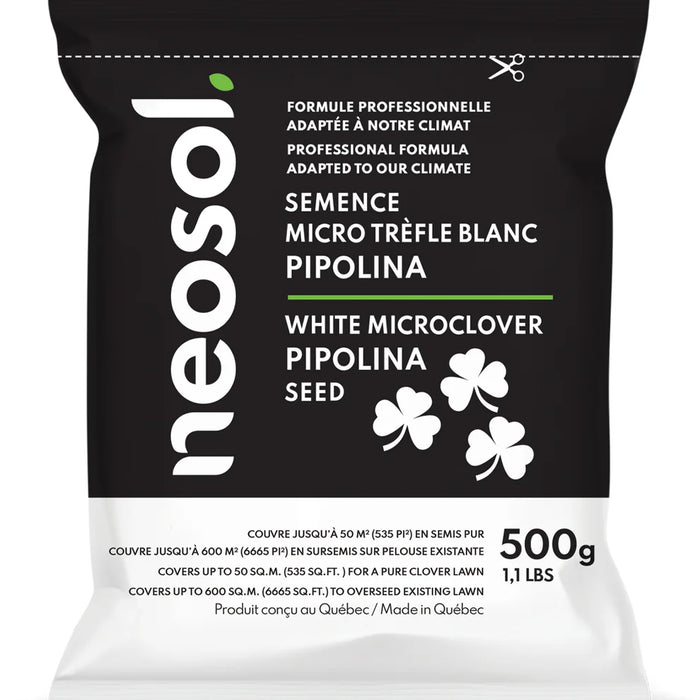 SEMENCES MICRO TRÈFLES BLANC PIPOLINA 500G