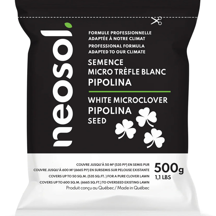 PIPOLINA MICRO CLOVER SEEDS 500G