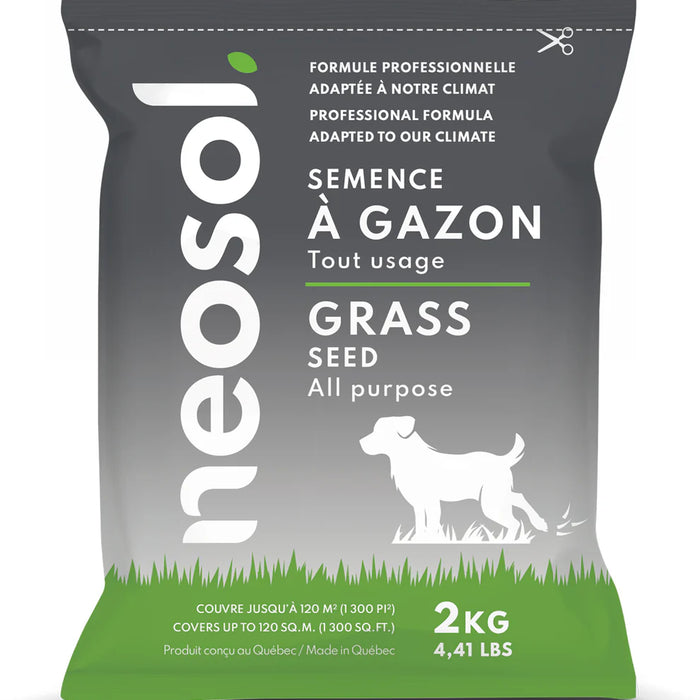 SEMENCES A GAZON TOUT USAGE