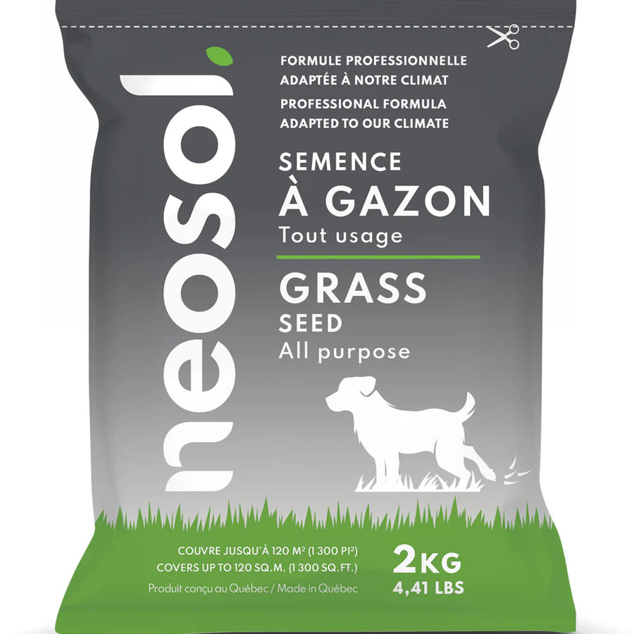 SEMENCES A GAZON TOUT USAGE