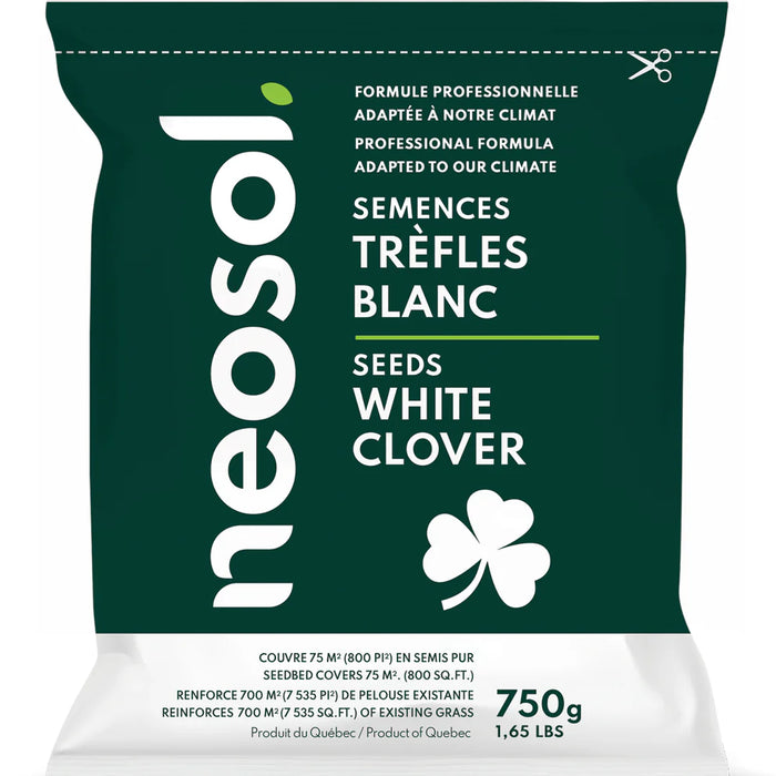 SEMENCES A TREFLES BLANC 750G