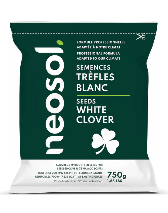 SEMENCES A TREFLES BLANC 750G