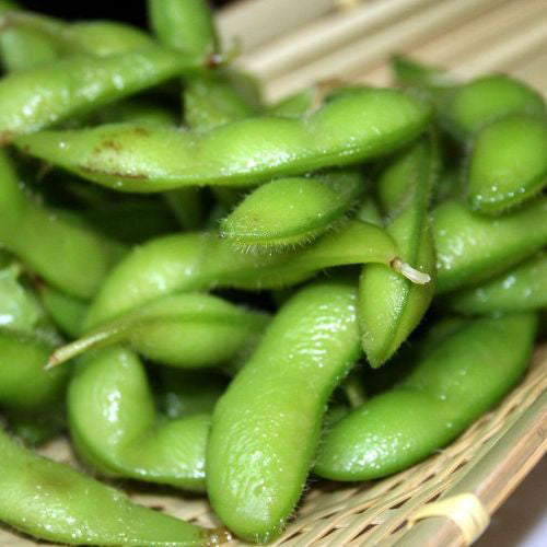 SEMENCES BIOLOGIQUES: SOJA EDAMAME ENVY