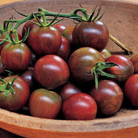 TOMATE COCKTAIL - BLACK CHERRY