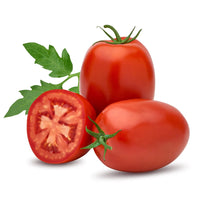 TOMATE ITALIENNE - ROMA