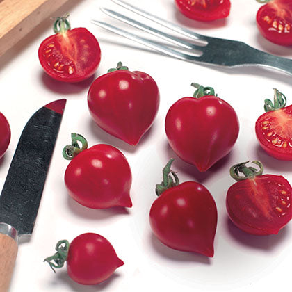 TOMATE - HEARTBREAKERS