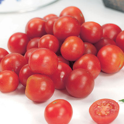 TOMATE - PETITBEC