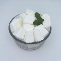 BOMBES NETTOYANTES POUR TOILETTES
