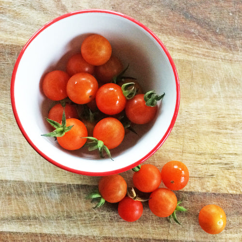 SEMENCES BIOLOGIQUES: TOMATE CERISE PETIT MOINEAU