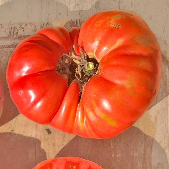 SEMENCES BIOLOGIQUES: TOMATE BEEFSTEAK MÉMÉ DE BEAUCE